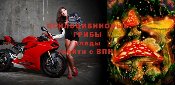 таблы Алексин