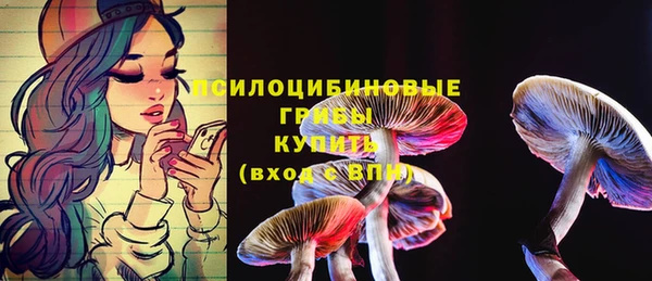 метадон Алексеевка