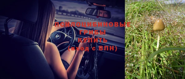 спиды Алзамай