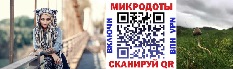 Псилоцибиновые грибы Psilocybe Навашино